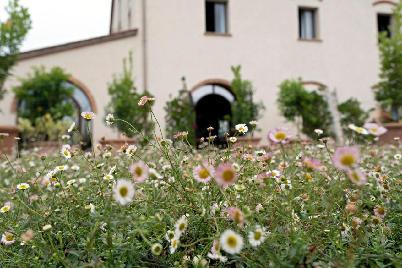 Paradis Agricole Pietrasanta Εξωτερικό φωτογραφία