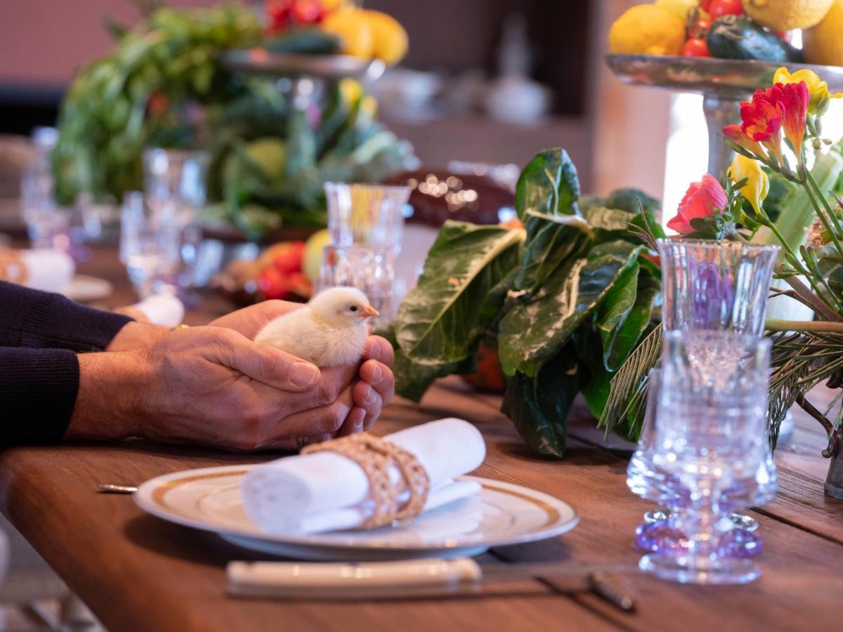Paradis Agricole Pietrasanta Εξωτερικό φωτογραφία
