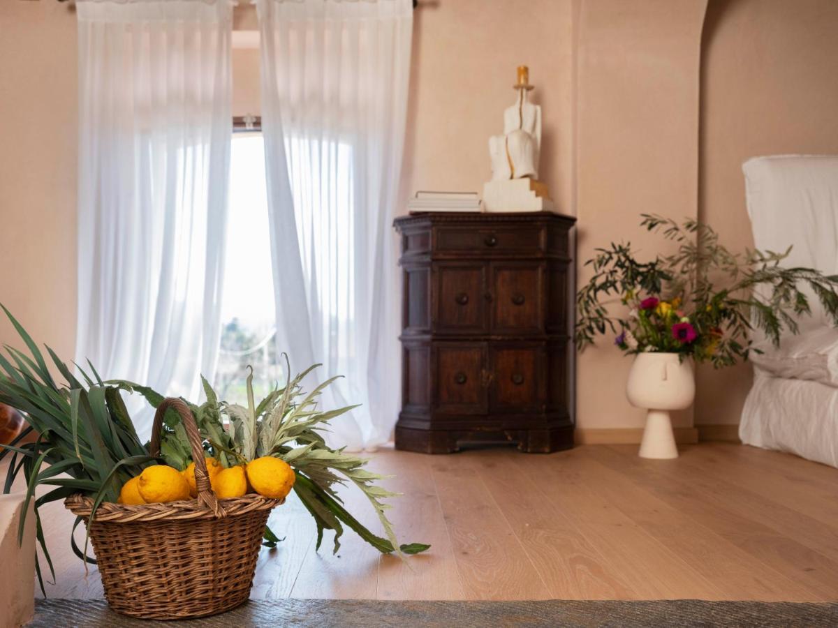 Paradis Agricole Pietrasanta Εξωτερικό φωτογραφία
